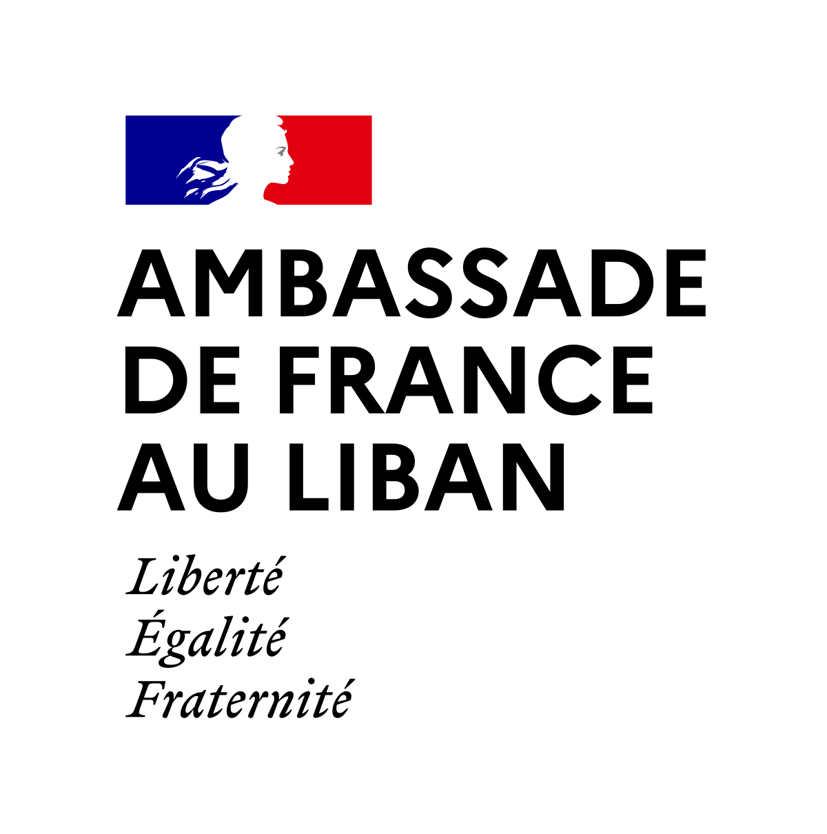 Ambassade De France