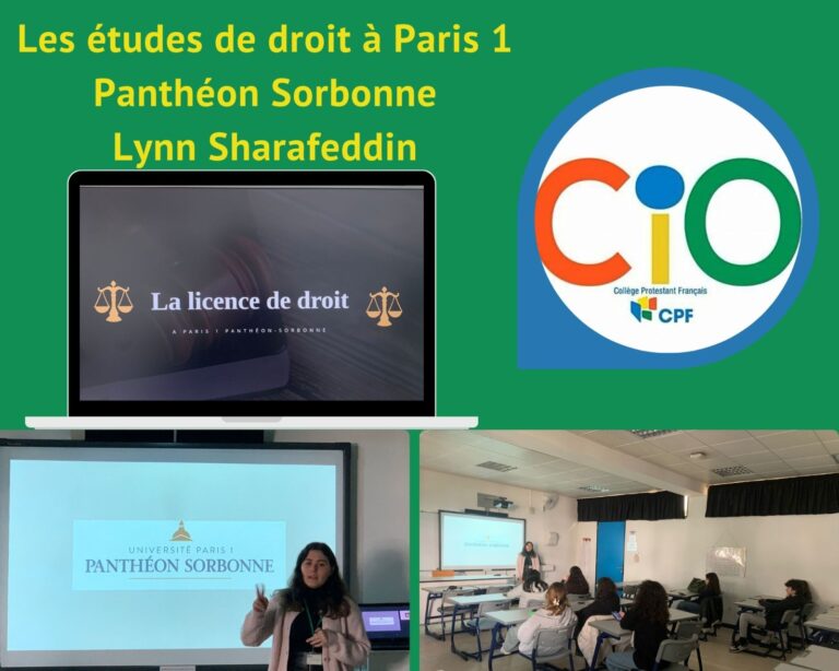 Rencontre Lynn Sharafeddin 
